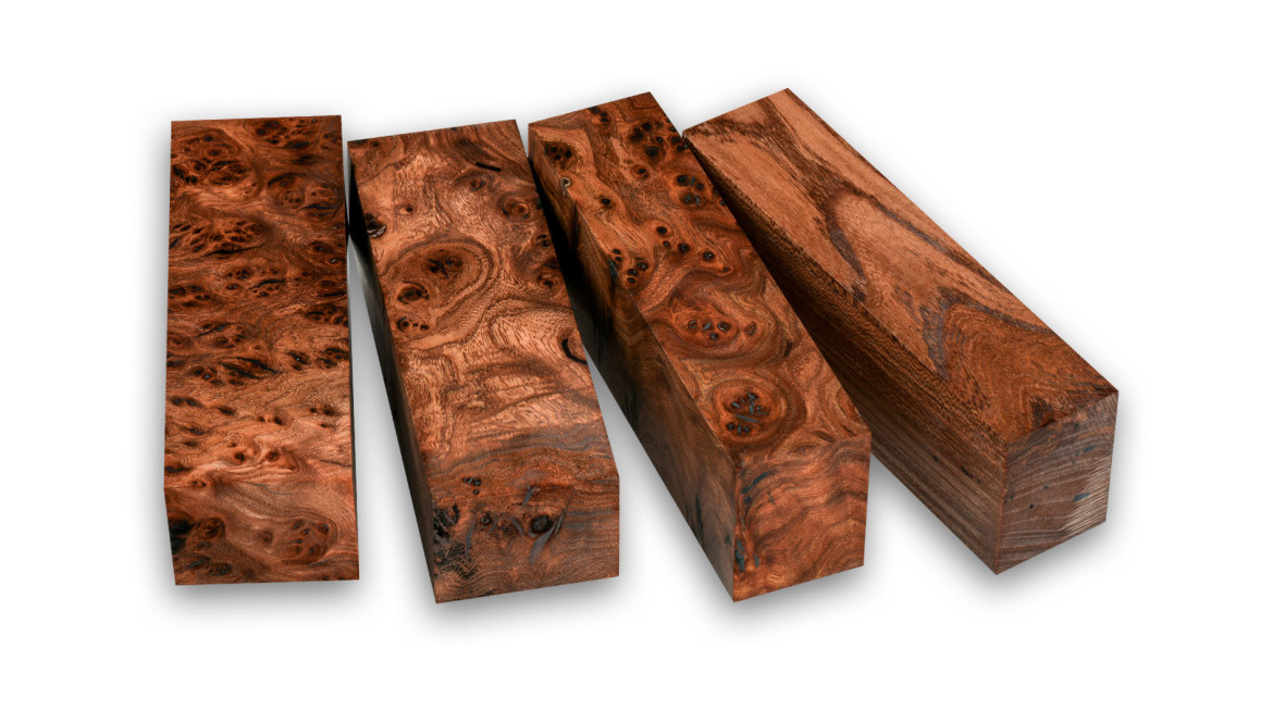 Elm and Its Burl: Natural Treasures for Artistic Cutlery and Craftsmanship